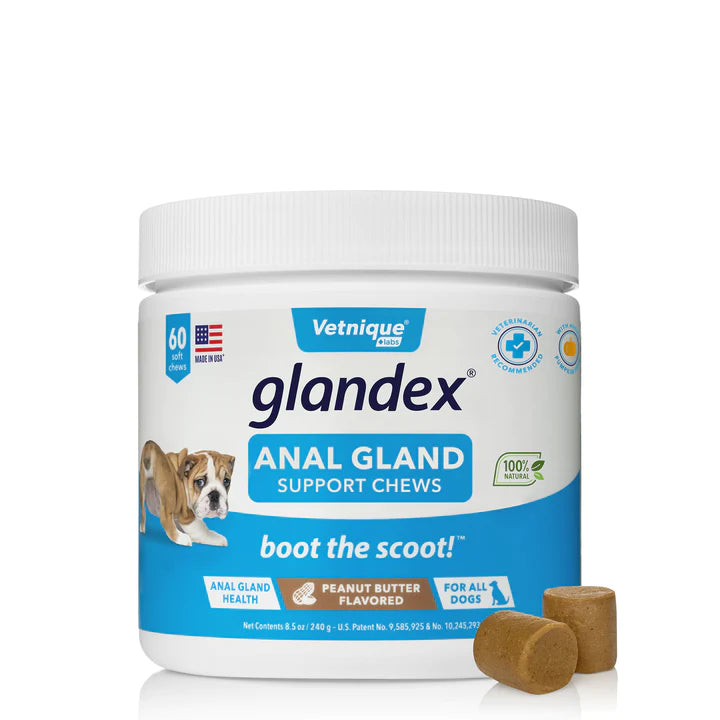 Glandex Anal Gland & Probiotic Peanut Butter Flavored Pumpkin Fiber Soft Chew Digestive Dog Supplement