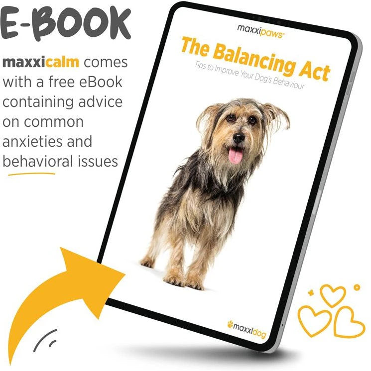 maxxipaws maxxicalm Calming Aid for Dogs