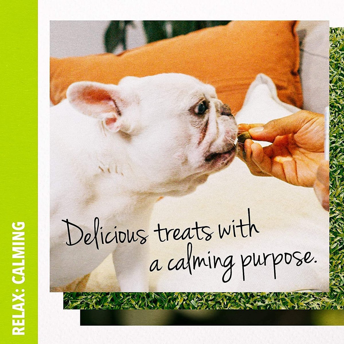 Green Gruff Relax Calming Smoked Coconut Flavor Soft Chew Dog Supplement