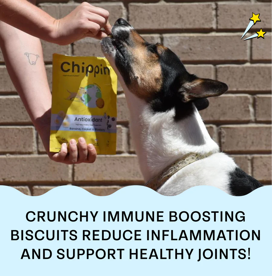 Chippin Antioxidant Dog Treats