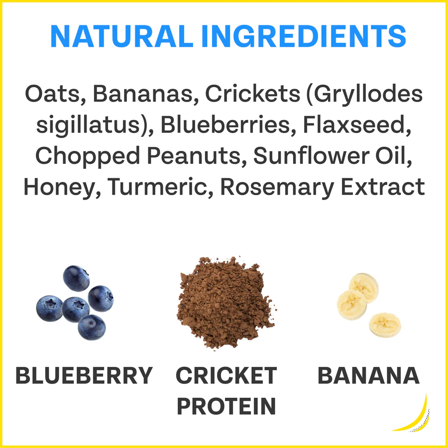 Chippin Antioxidant Dog Treats