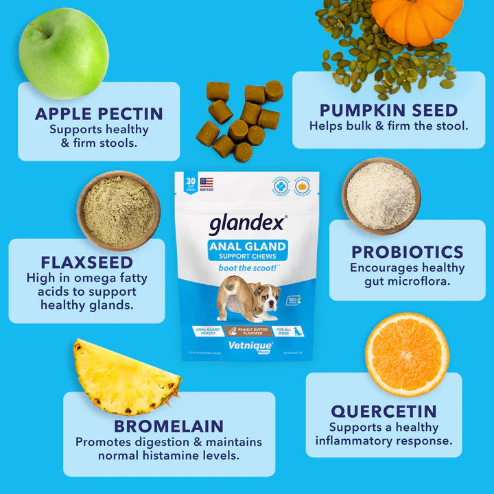 Glandex Anal Gland & Probiotic Peanut Butter Flavored Pumpkin Fiber Soft Chew Digestive Dog Supplement