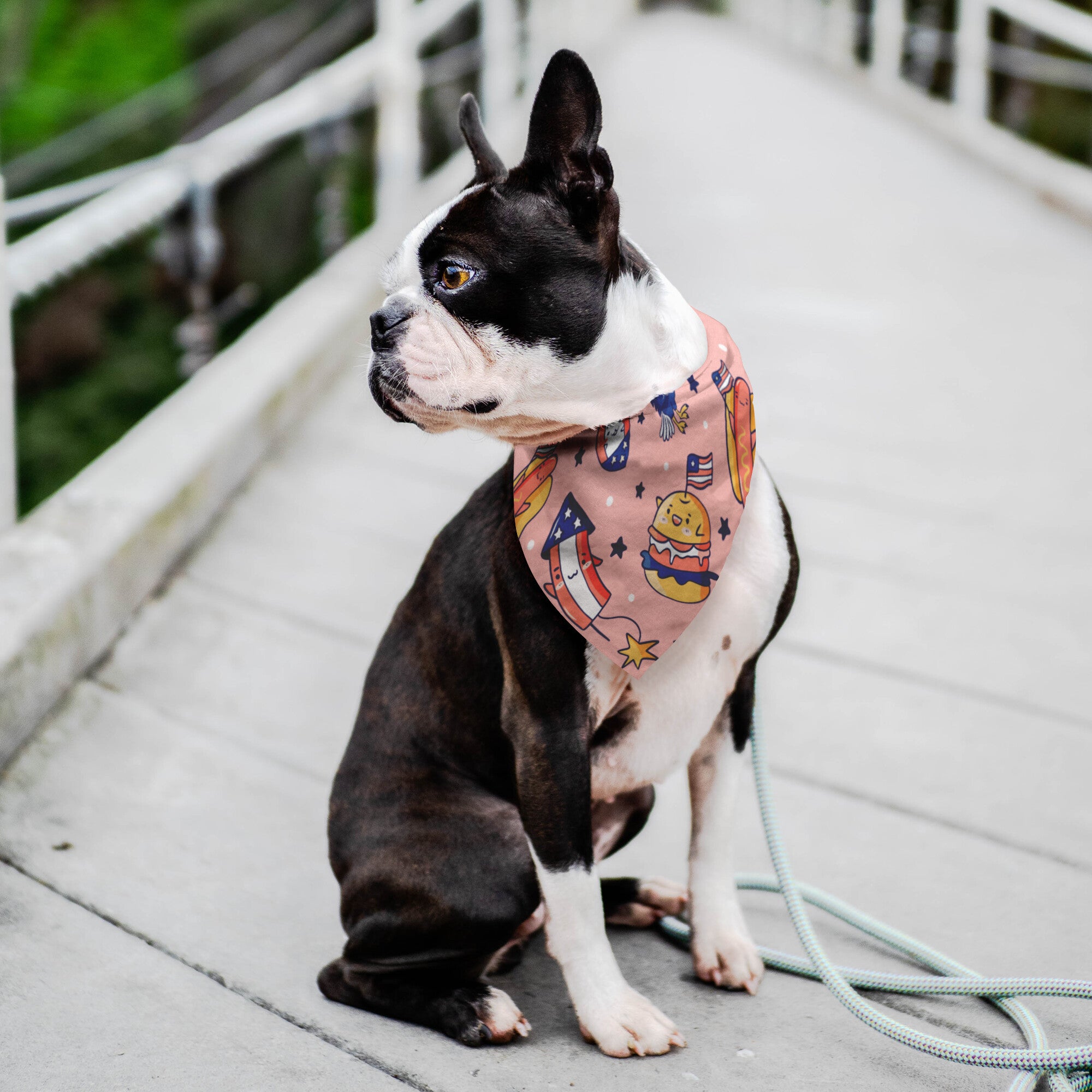 4th of July Cookout Dog Bandana