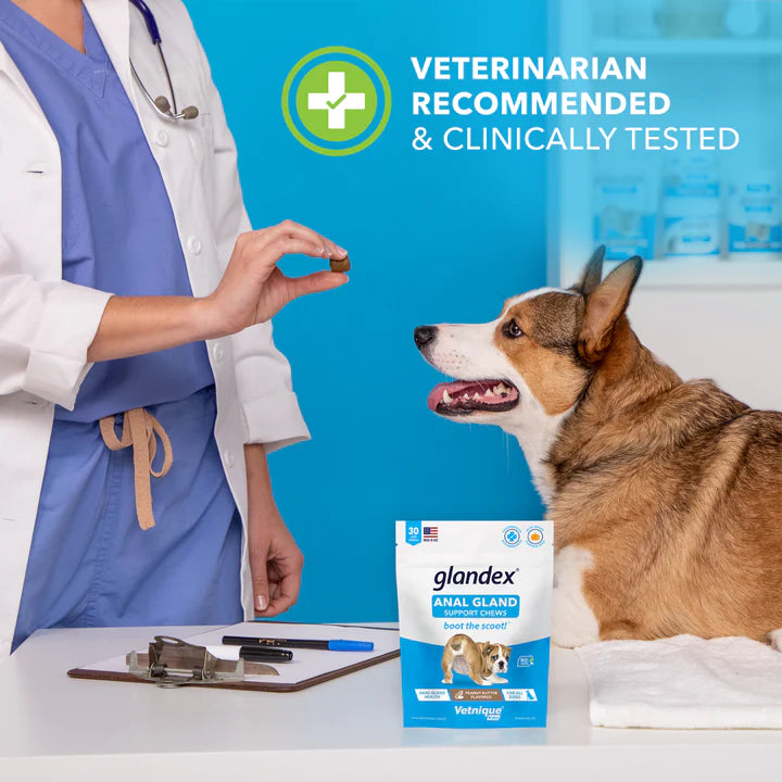 Glandex Anal Gland & Probiotic Peanut Butter Flavored Pumpkin Fiber Soft Chew Digestive Dog Supplement