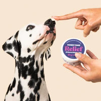 Honest Paws Relief Paw Balm