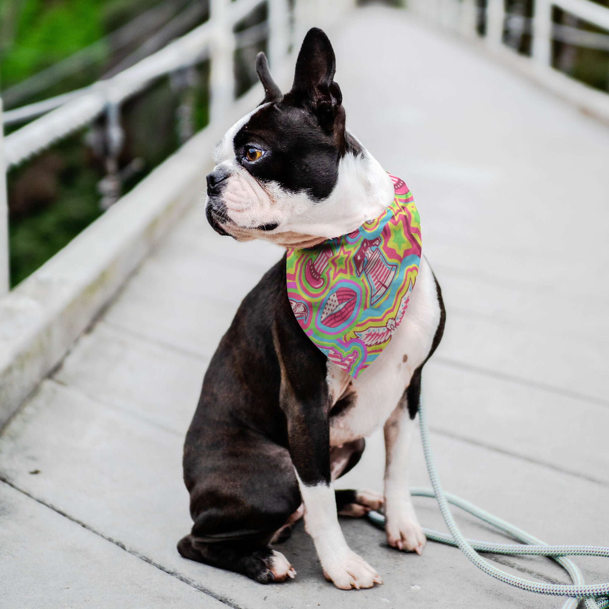 America The Beautiful Dog Bandana