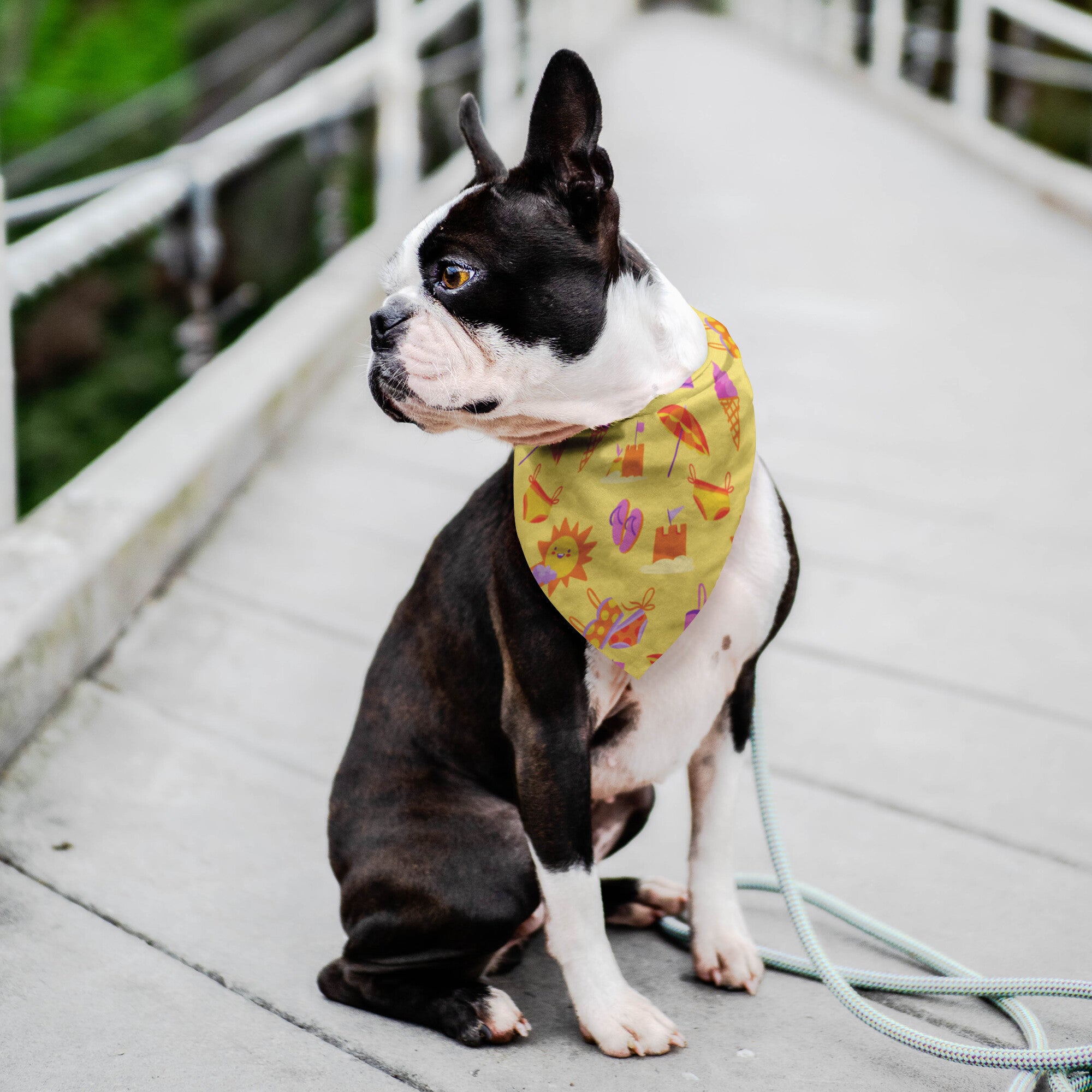 Beach Party Dog Bandana