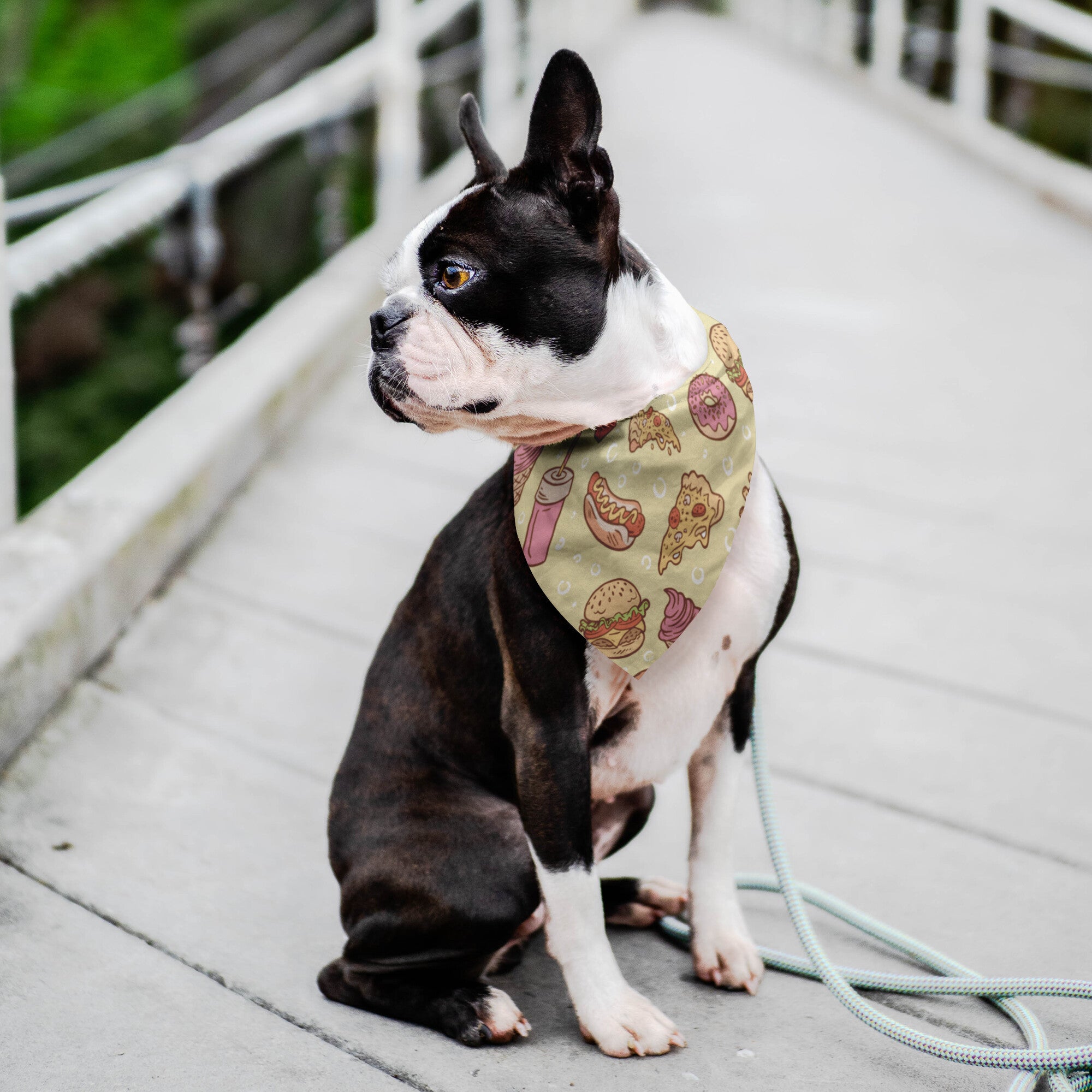 Cheat Meal Dog Bandana