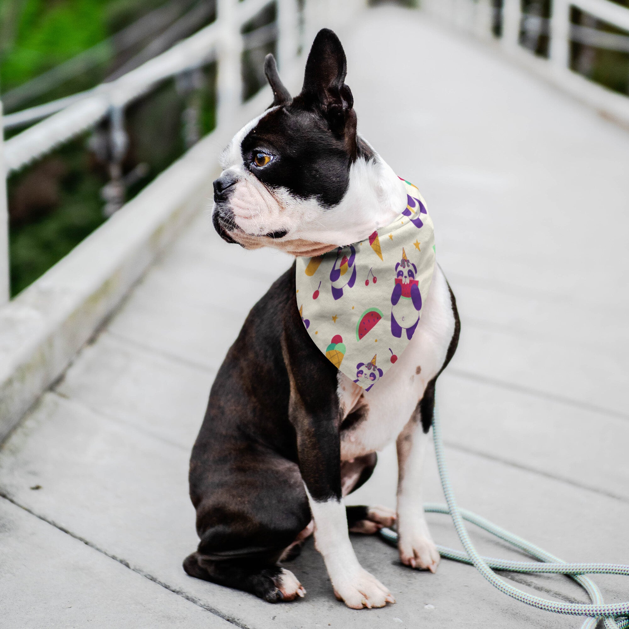 Cute Panda Dog Bandana