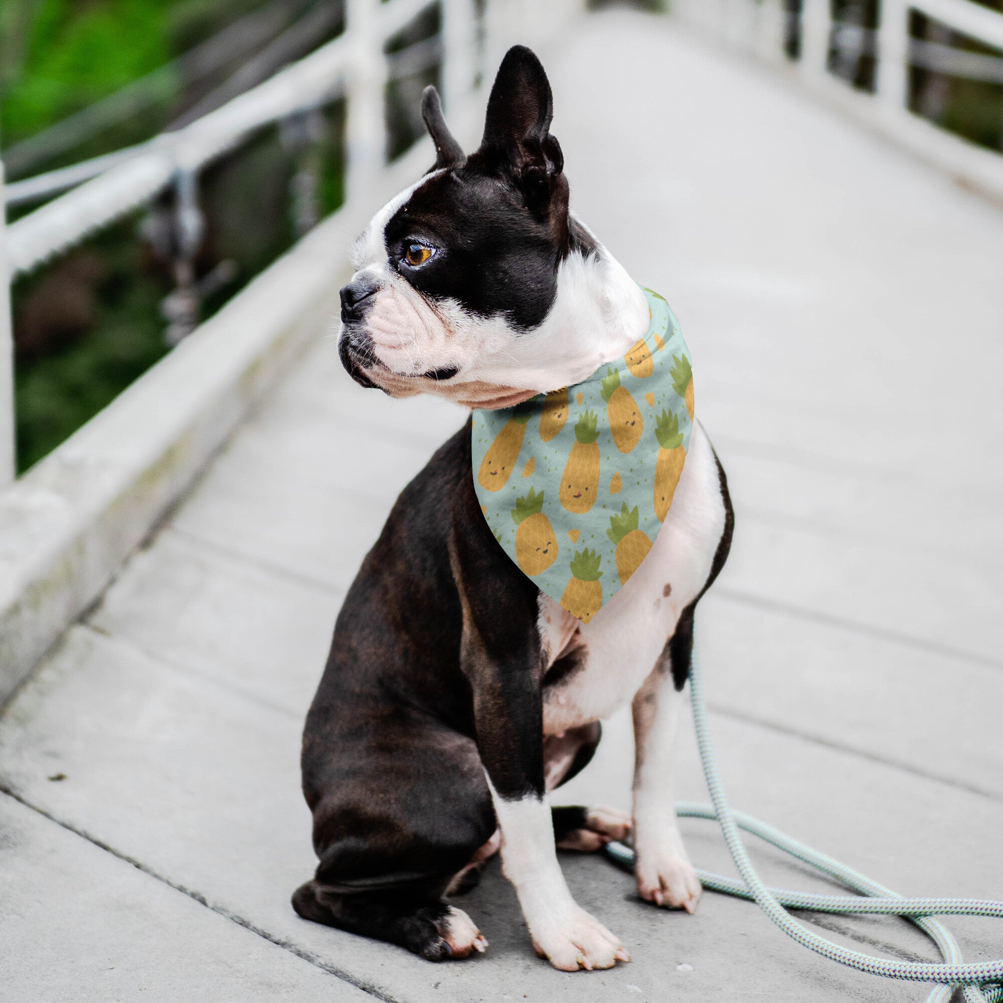 Cute Pineapple Dog Bandana