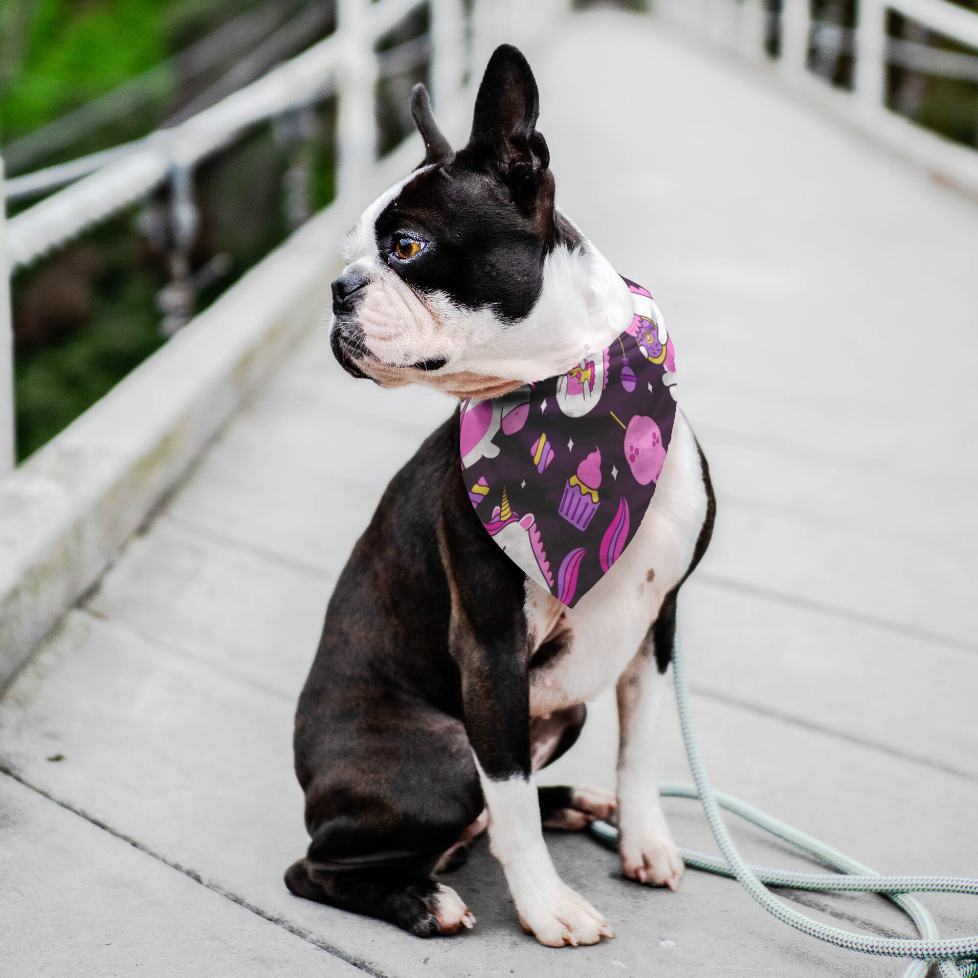 Cute Unicorn Dog Bandana