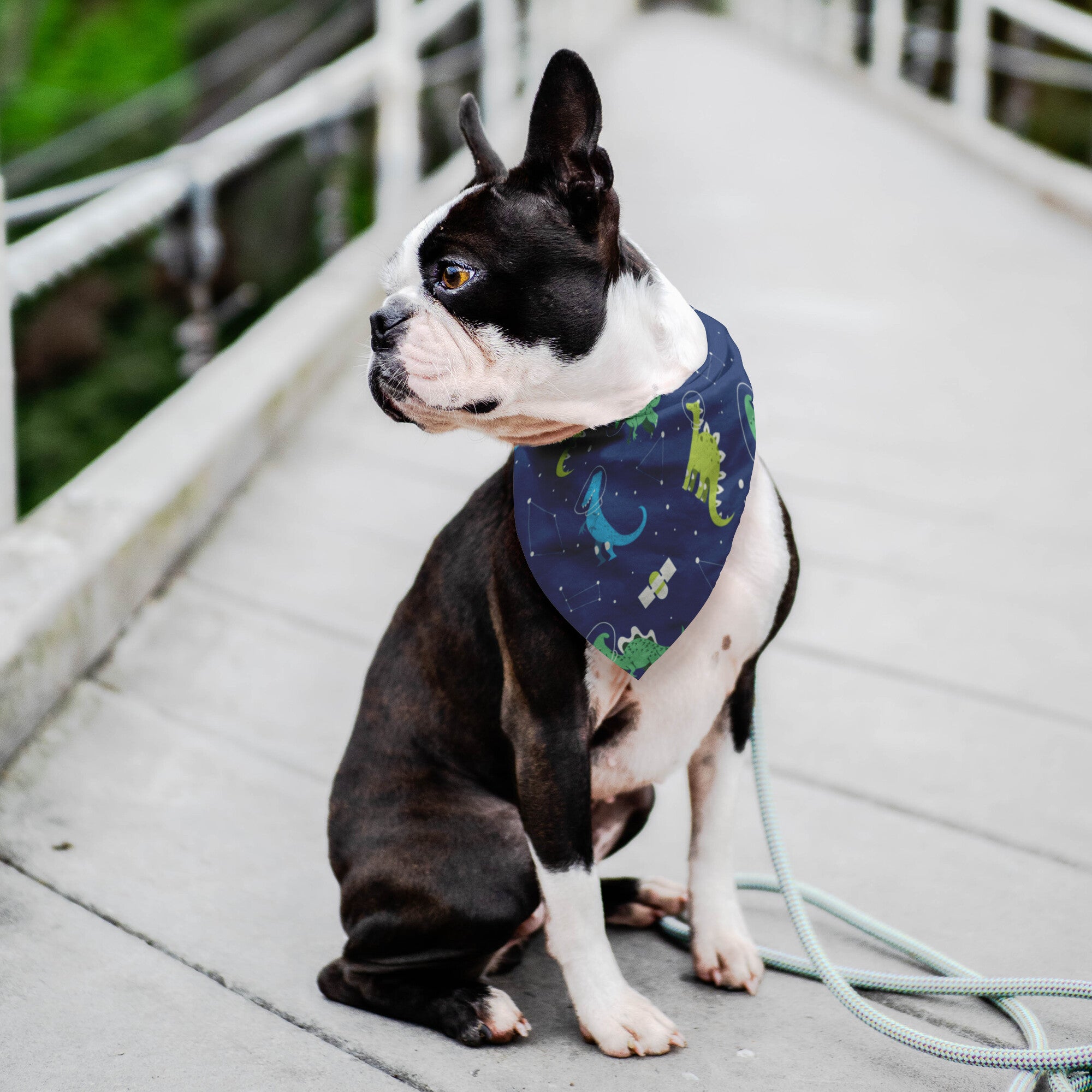 Dinos Dog Bandana