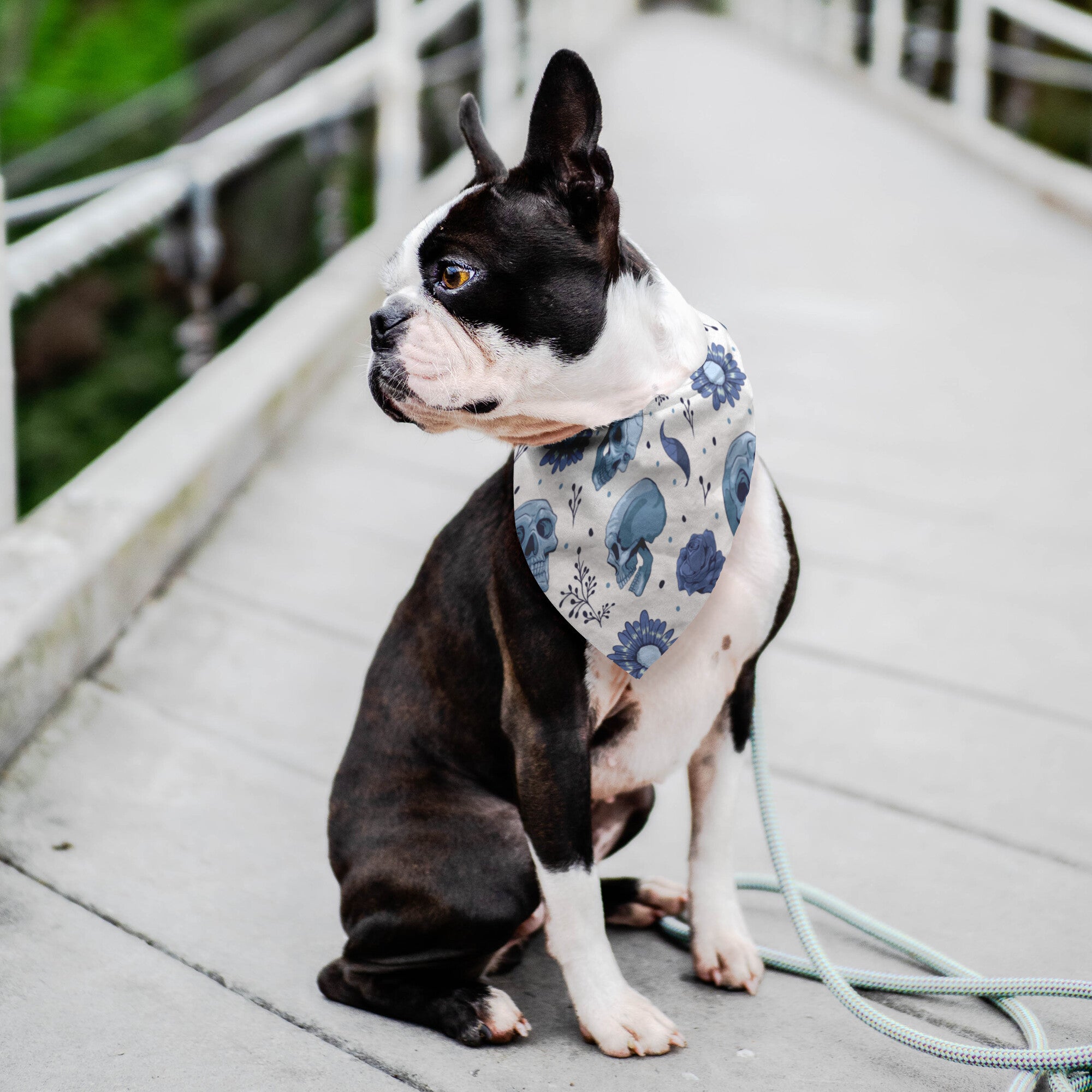 Elegant Skulls Dog Bandana