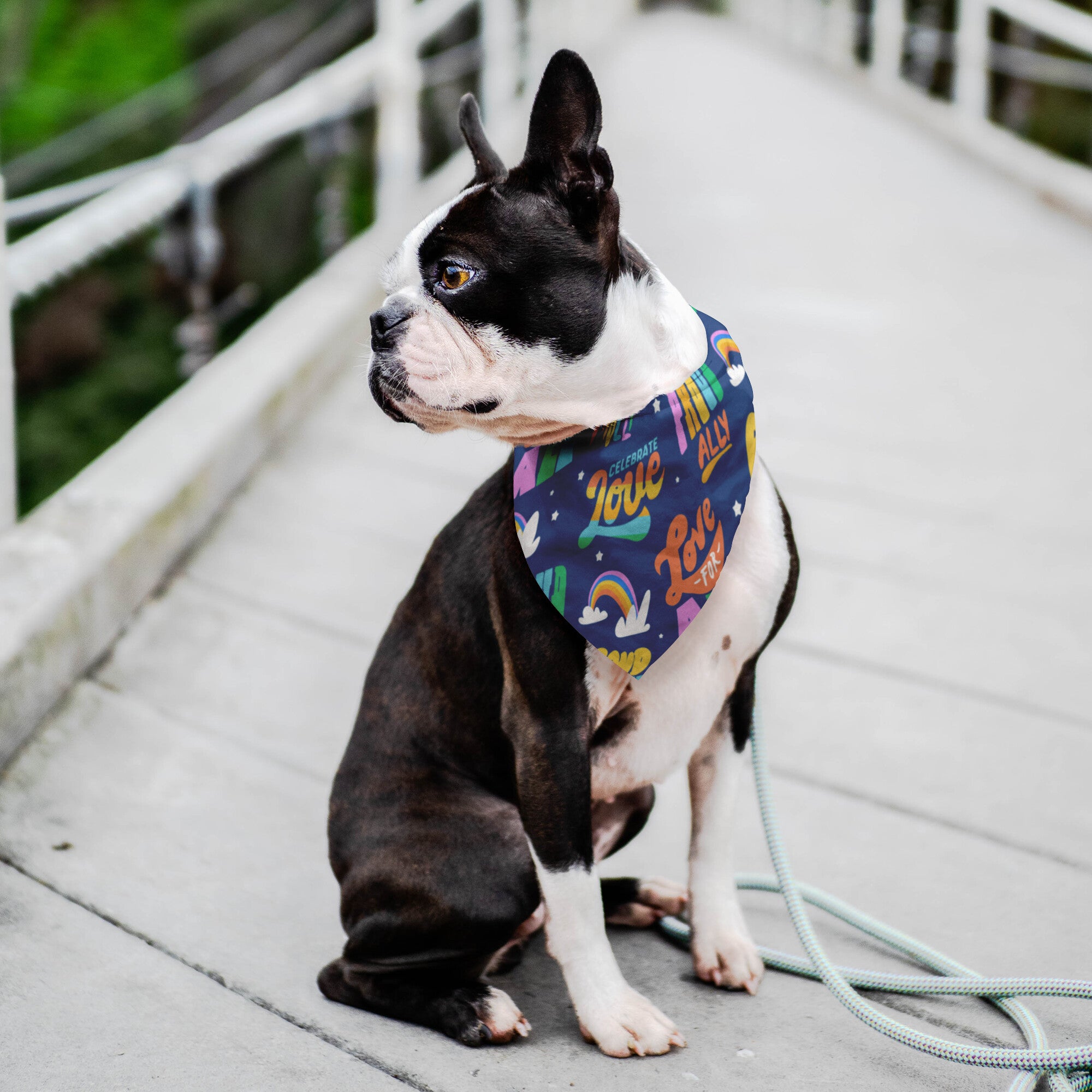 Love For All Dog Bandana