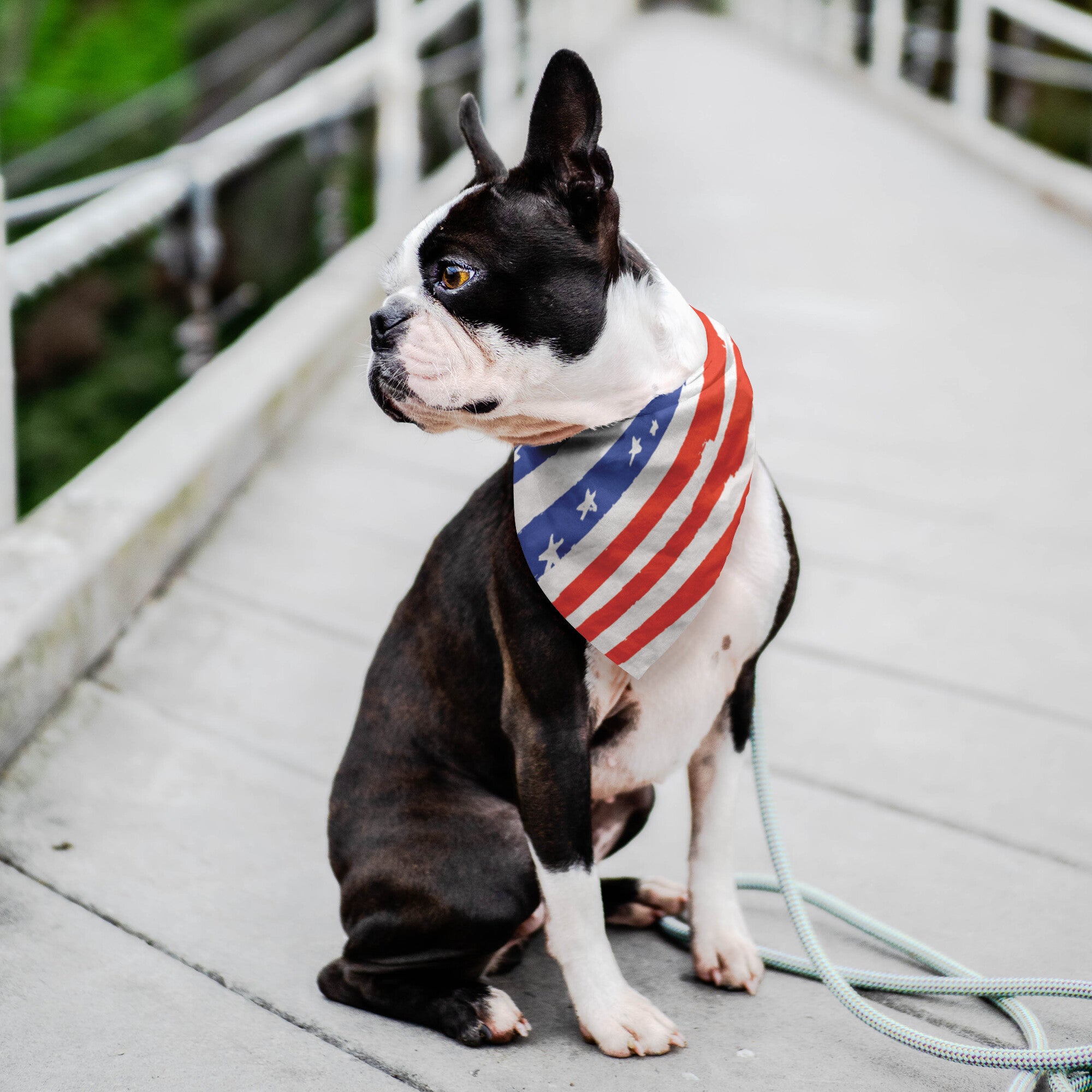 Patriotic Flag Dog Bandana