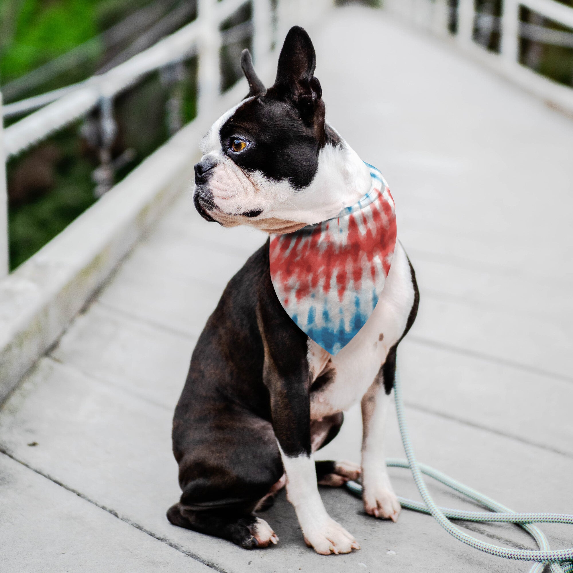 Patriotic Tye-Dye Dog Bandana
