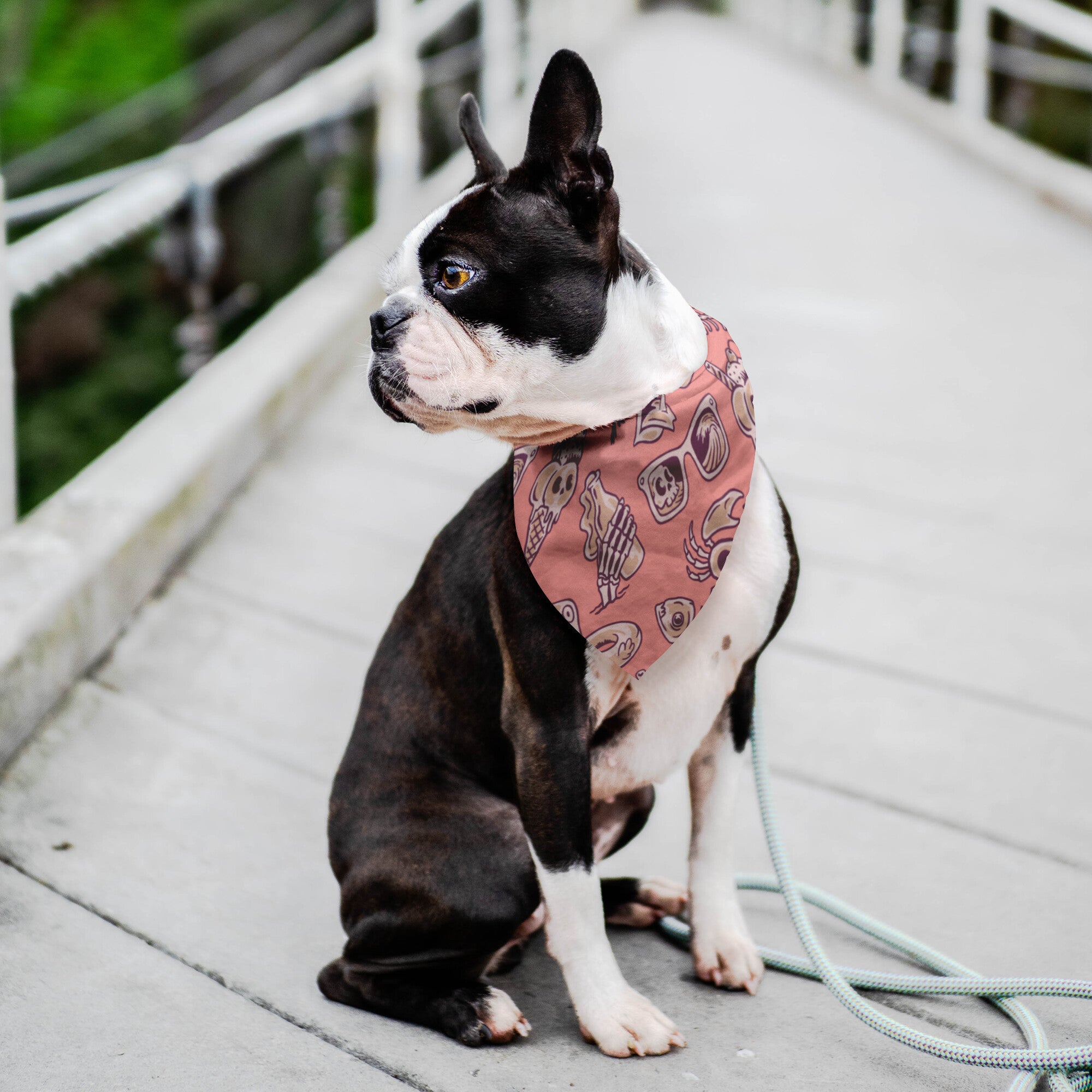 Pink Vacation Dog Bandana