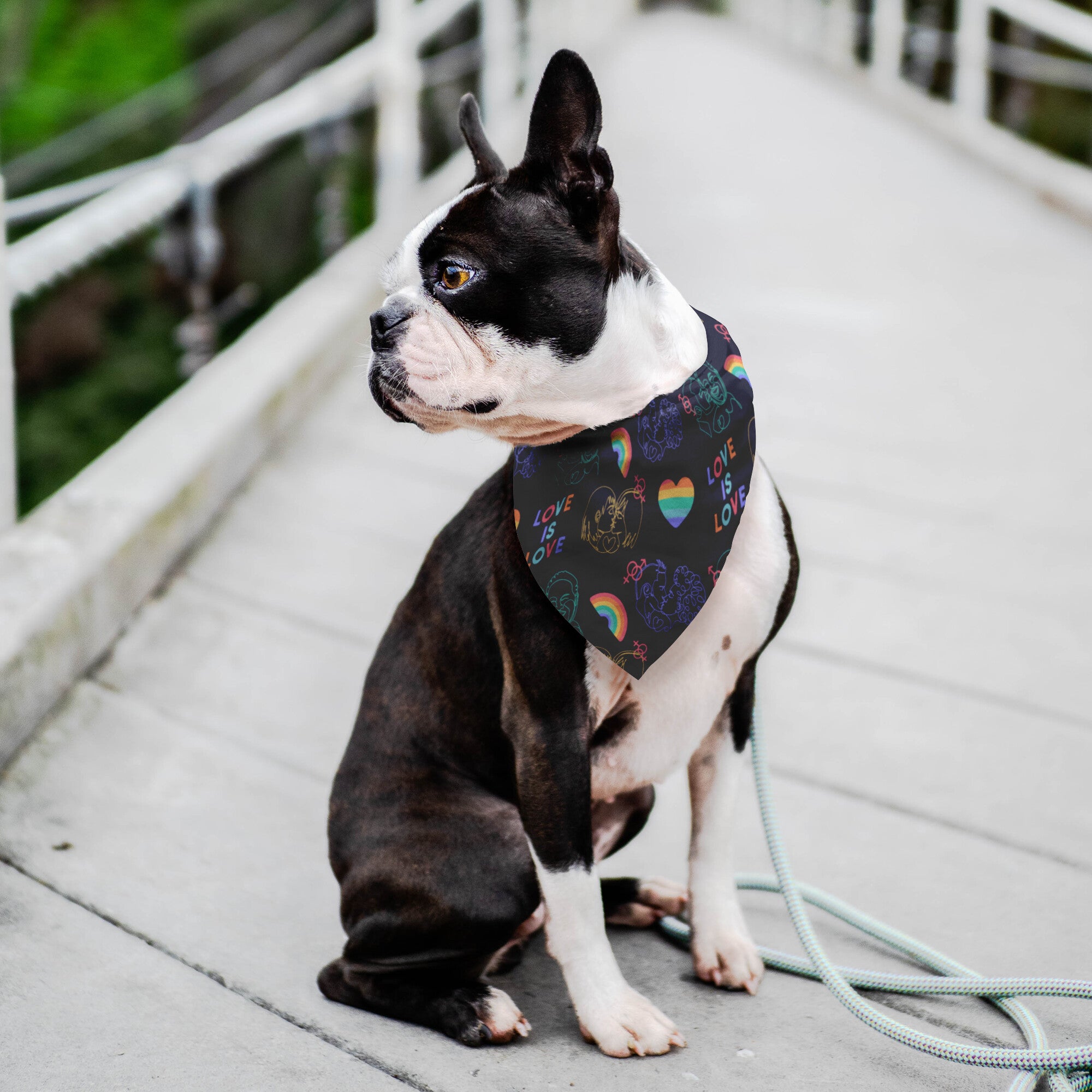 Pride Love Is Love Dog Bandana
