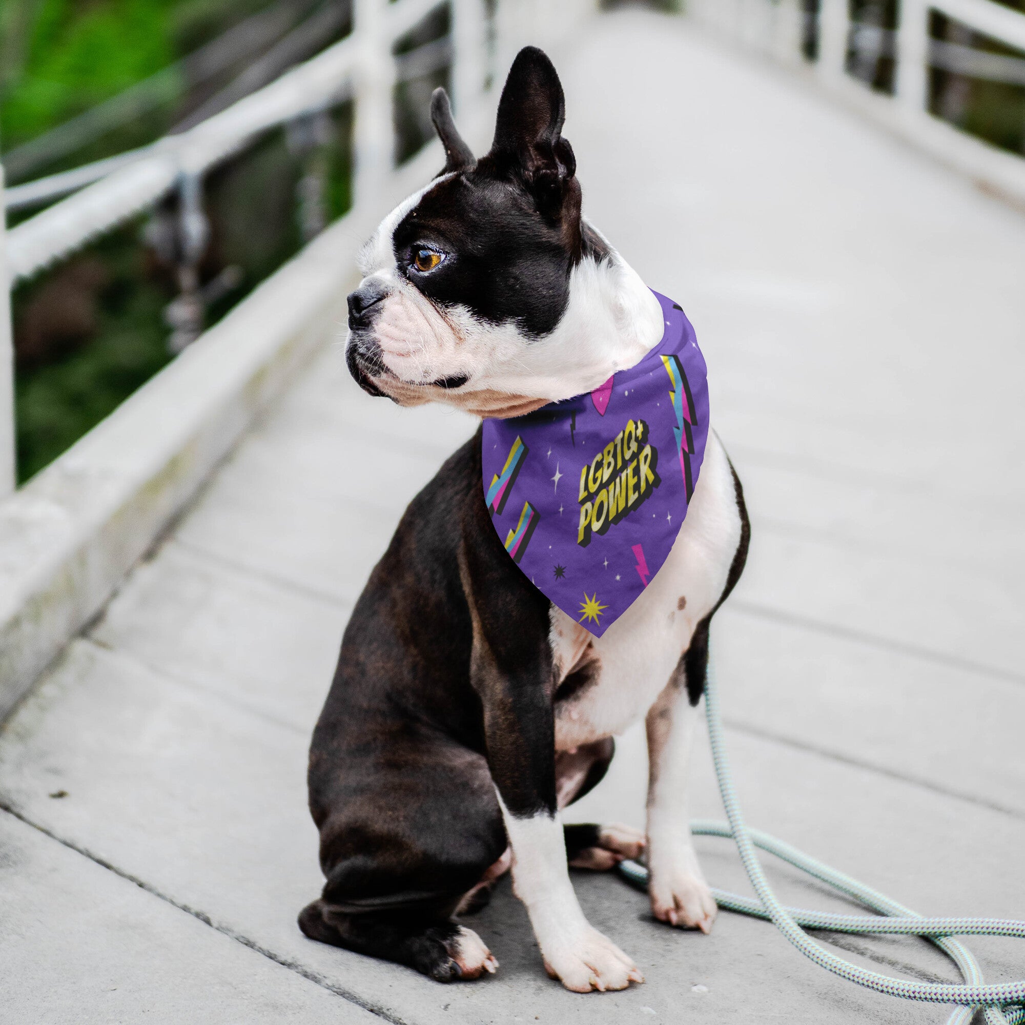 Pride Power Dog Bandana