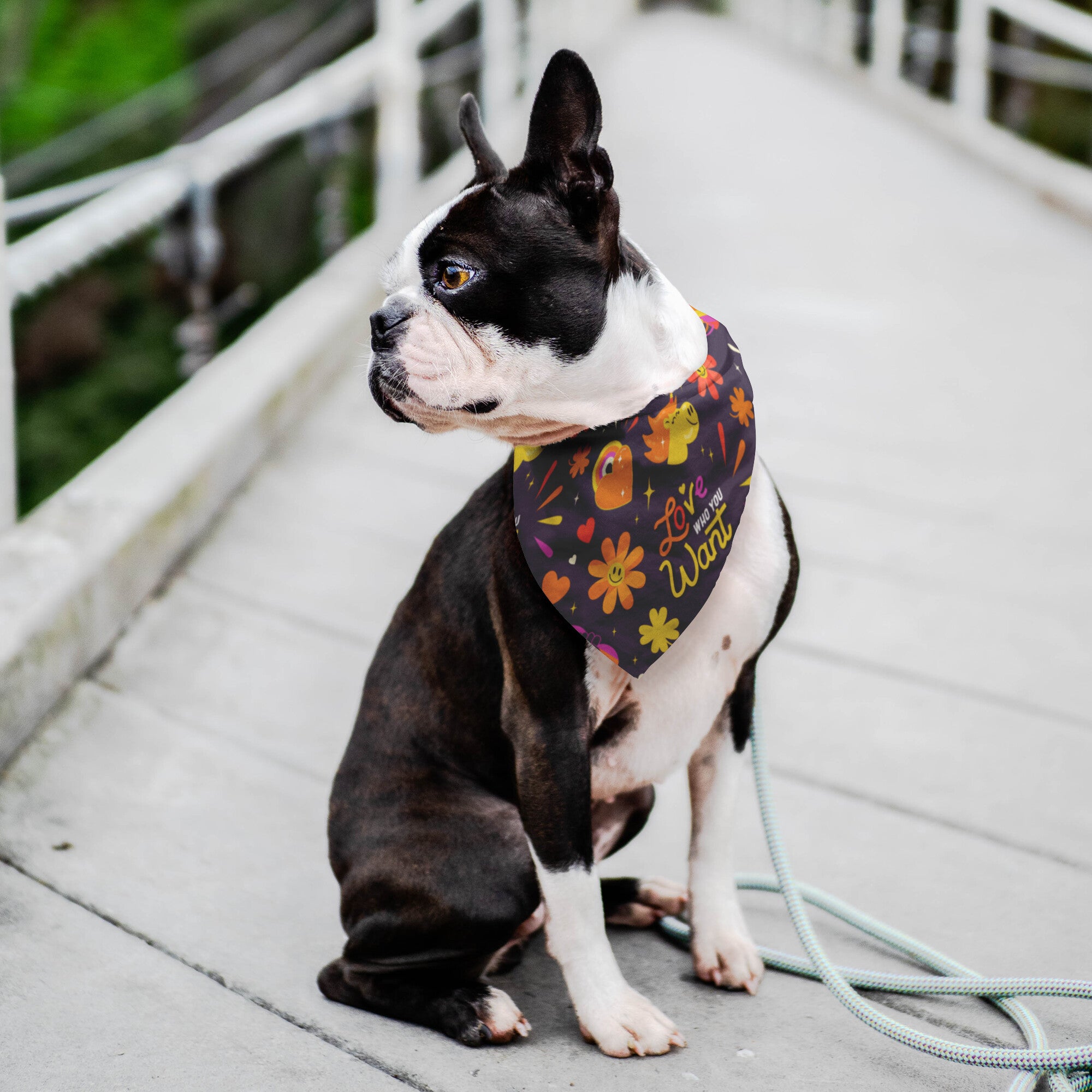 Pride Retro Dog Bandana