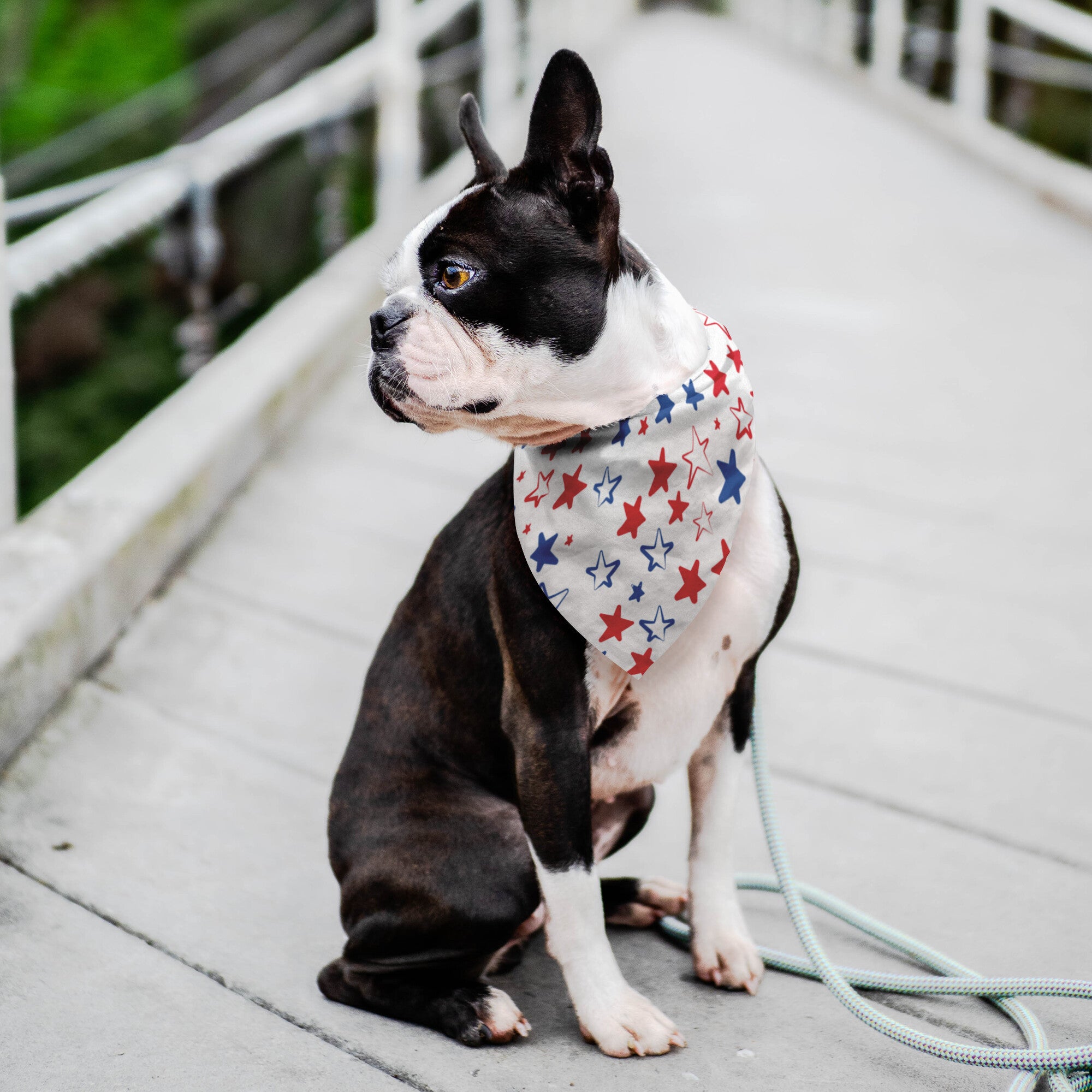Red, White. and Stars Dog Bandana