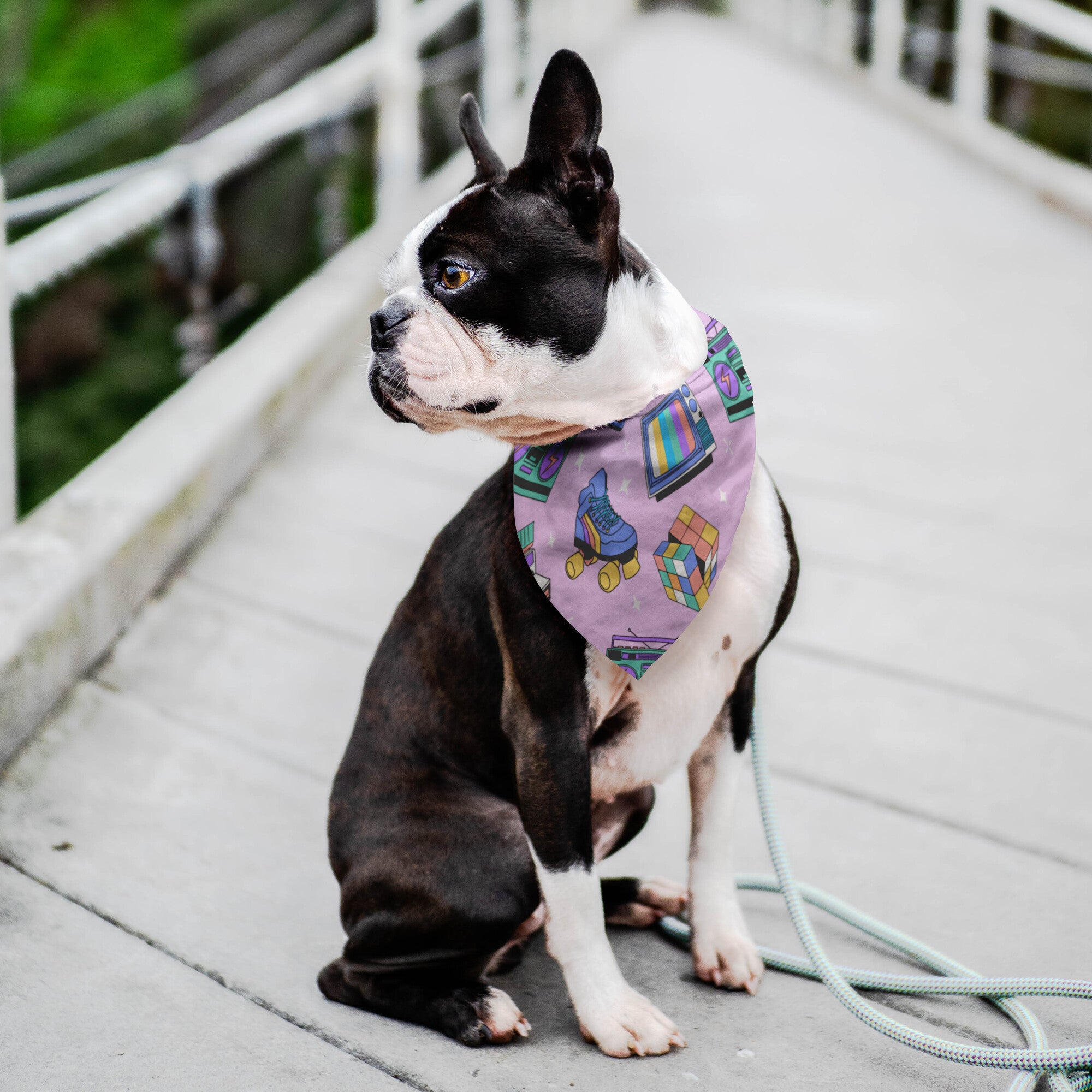 Retro Nostalgia Dog Bandana