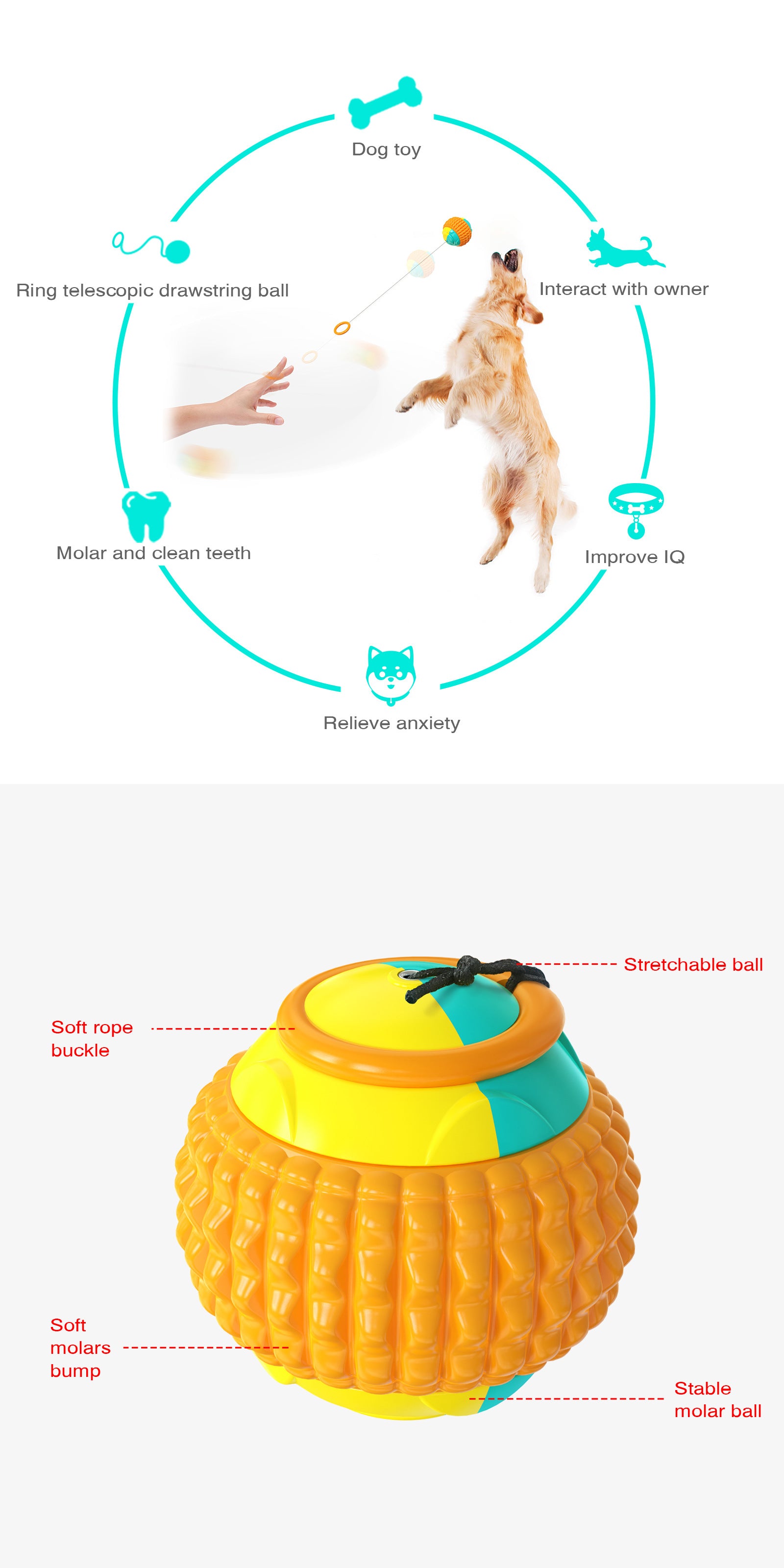 Interactive Telescopic Dog Chew Toy Trainer Ball