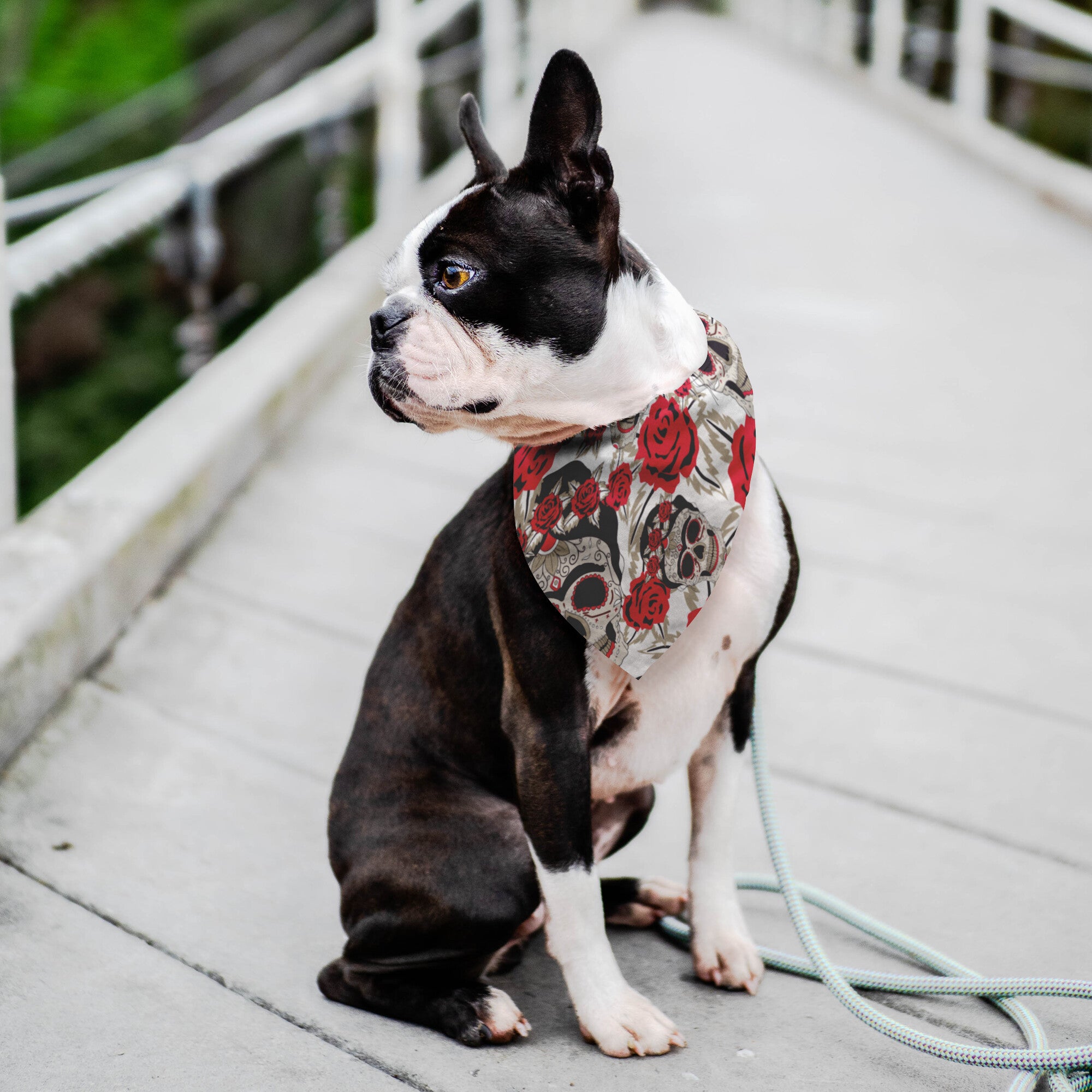 Skulls and Roses Dog Bandana