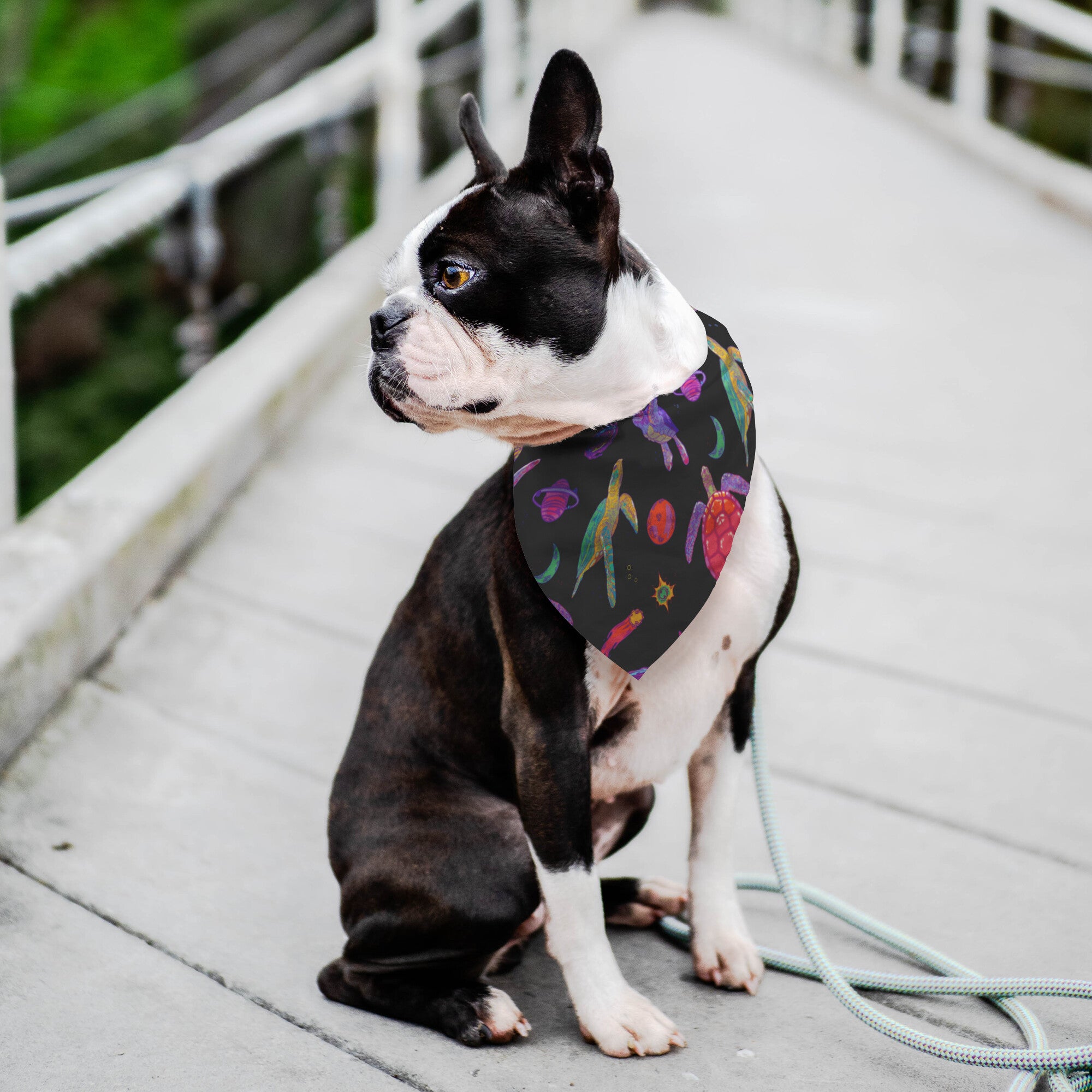 Space Turtles Dog Bandana