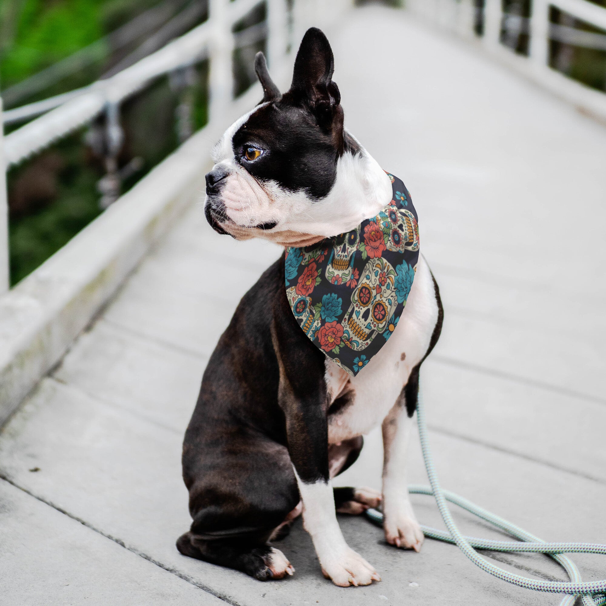 Sugar Skulls Dog Bandana