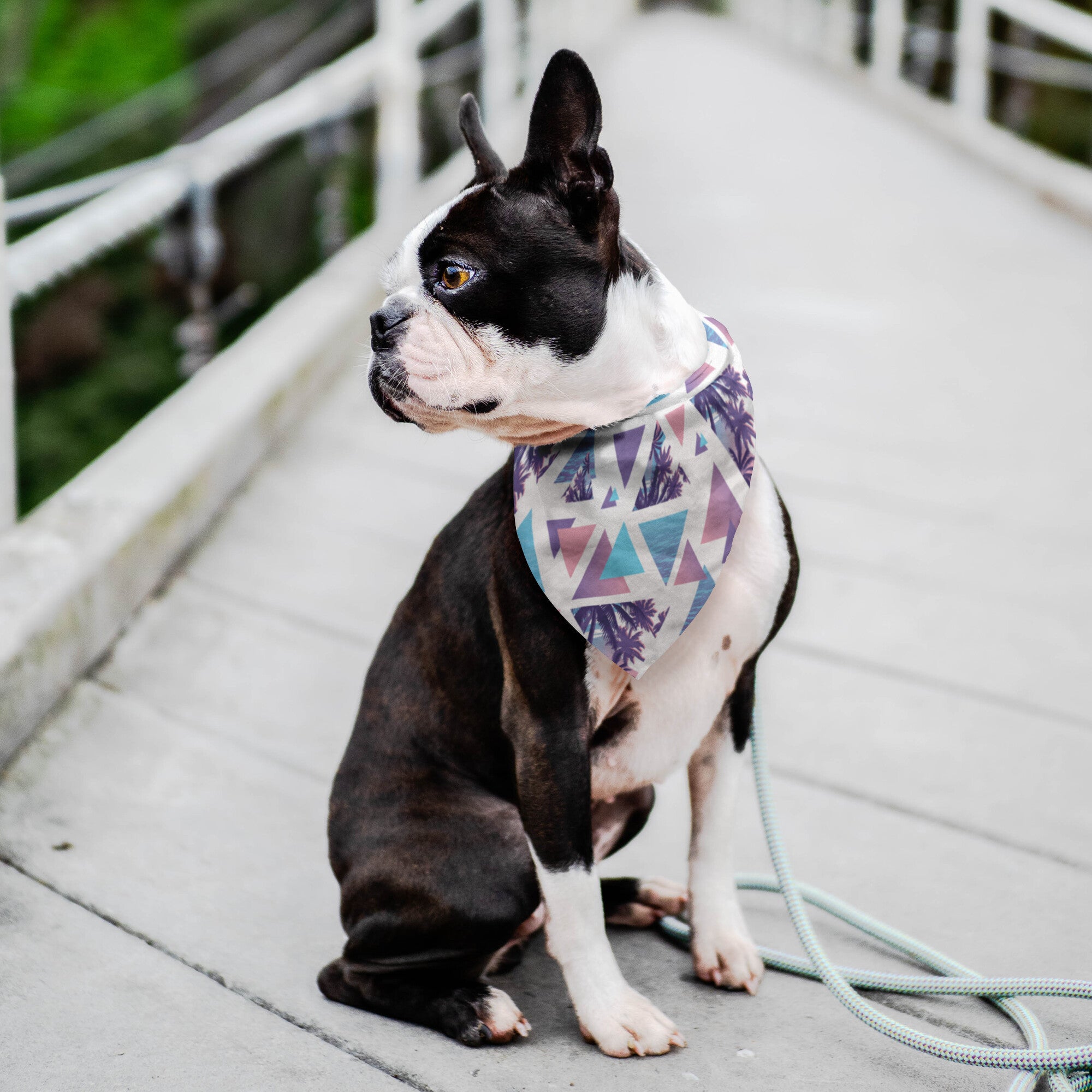 Summer Geometry Dog Bandana