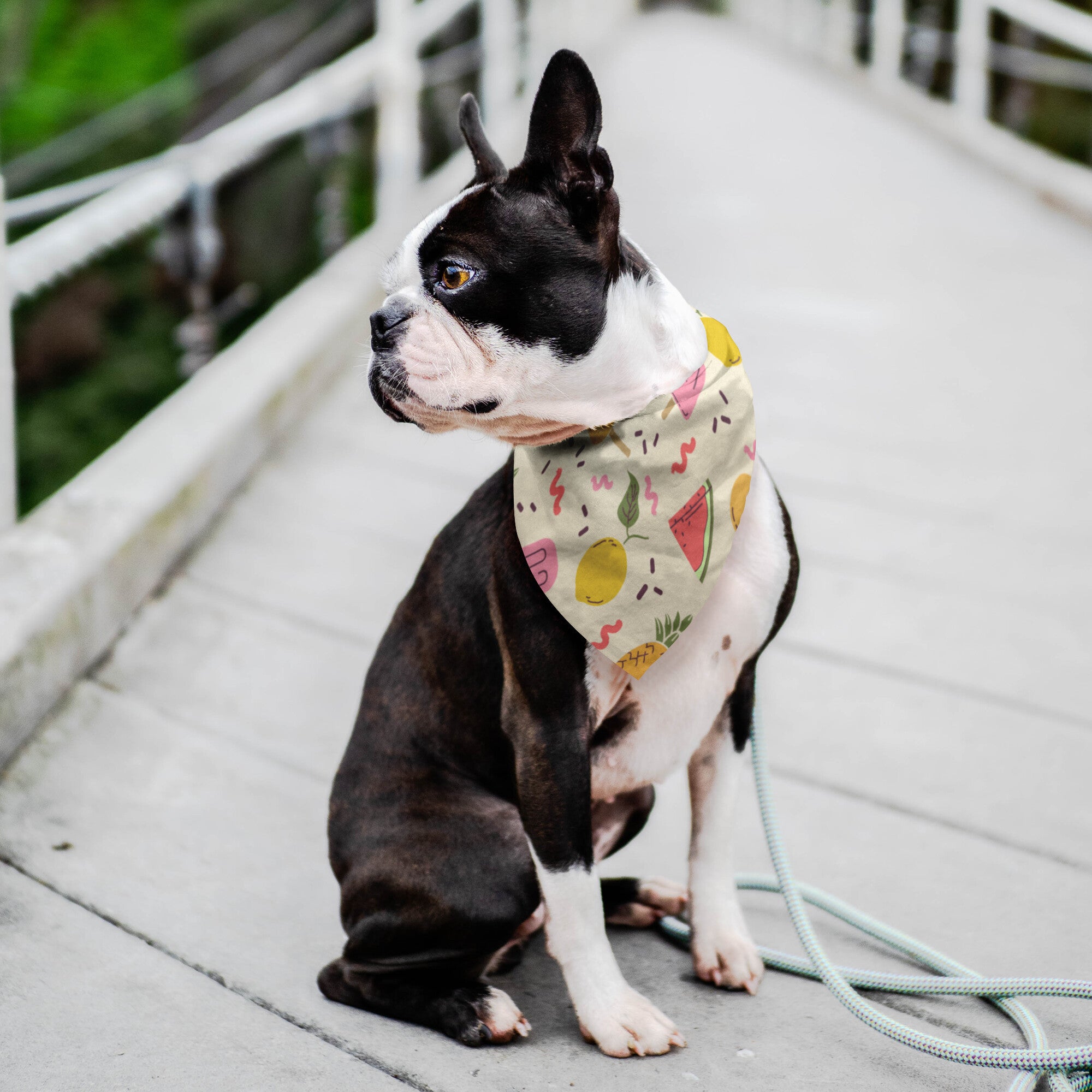 Summer Treats Dog Bandana