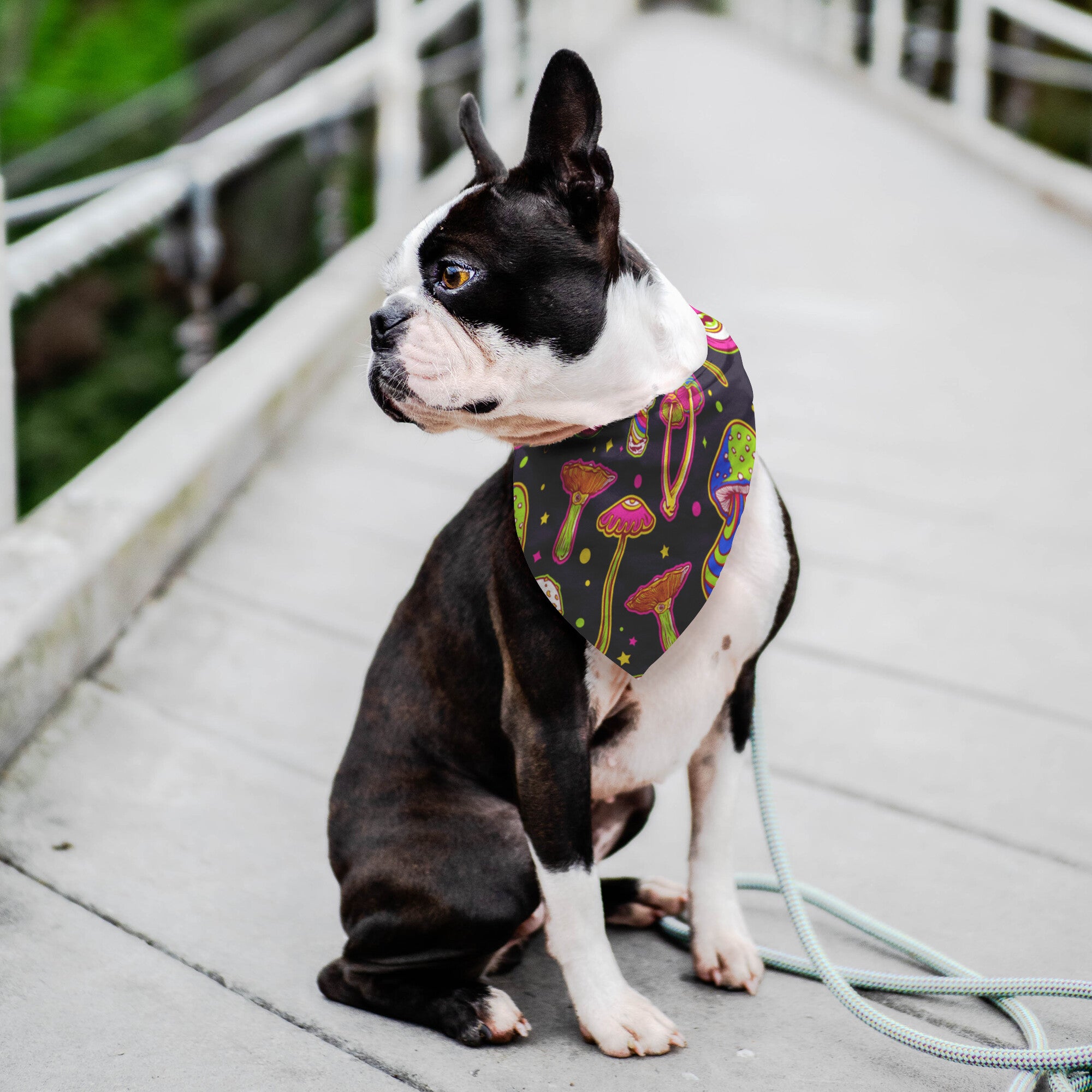 Trippy Mushroom Dog Bandana
