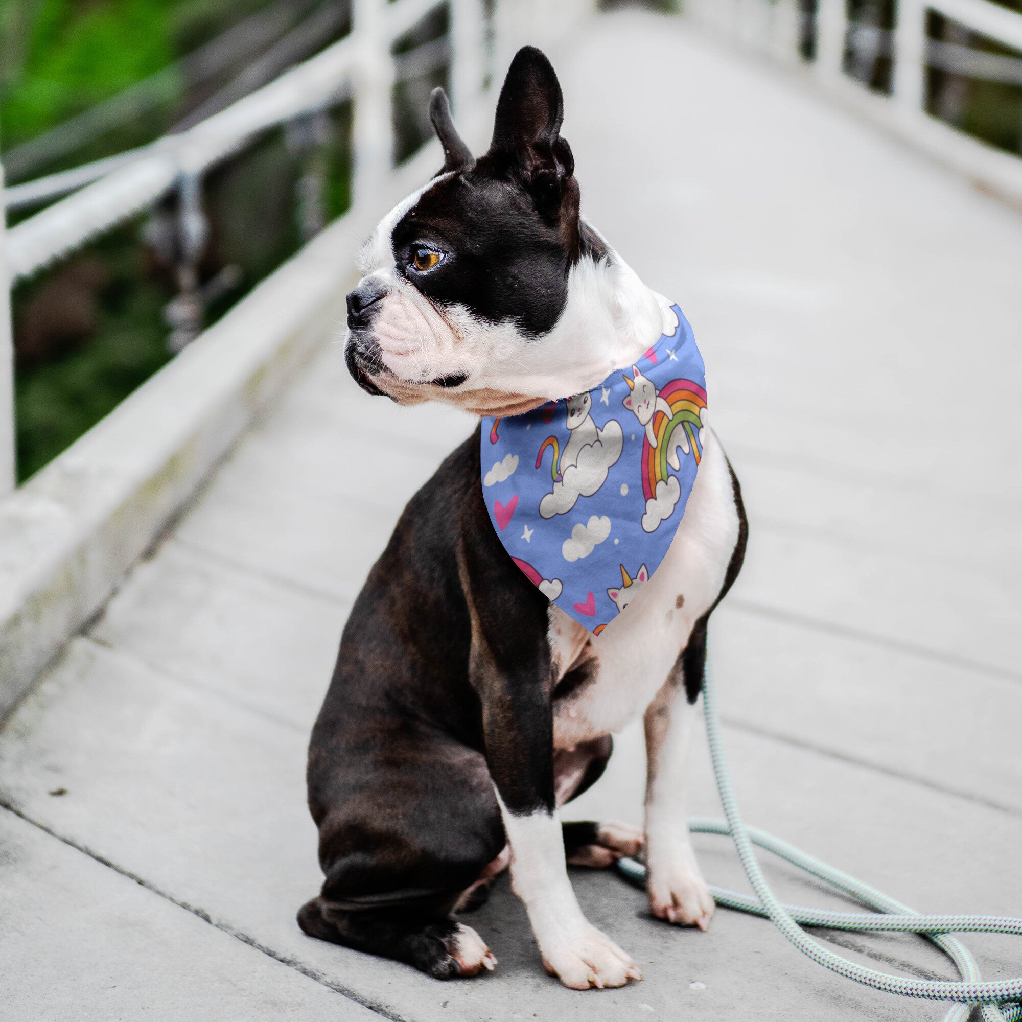 Unicorn Kitty Dog Bandana