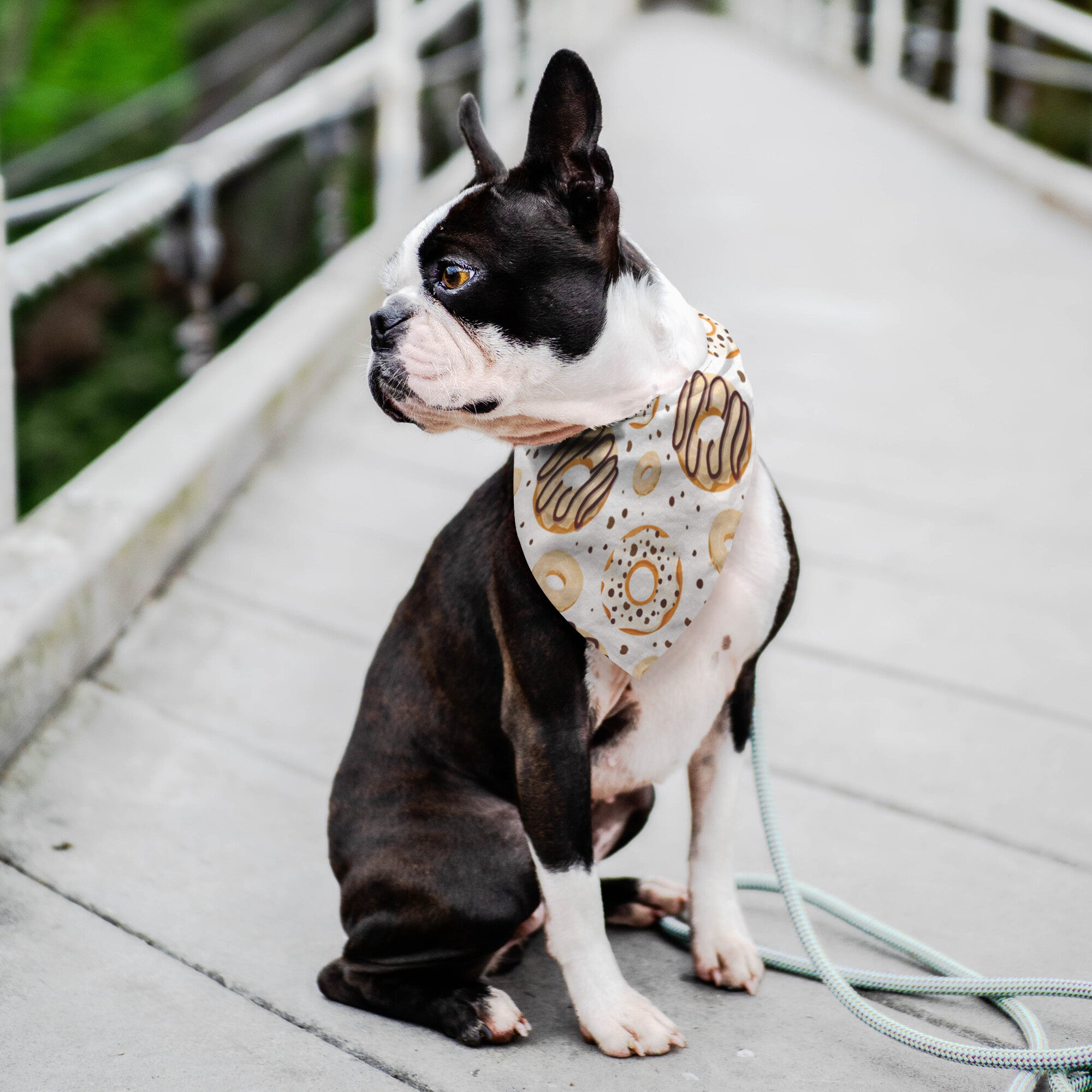 White Chocolate Donuts Dog Bandana