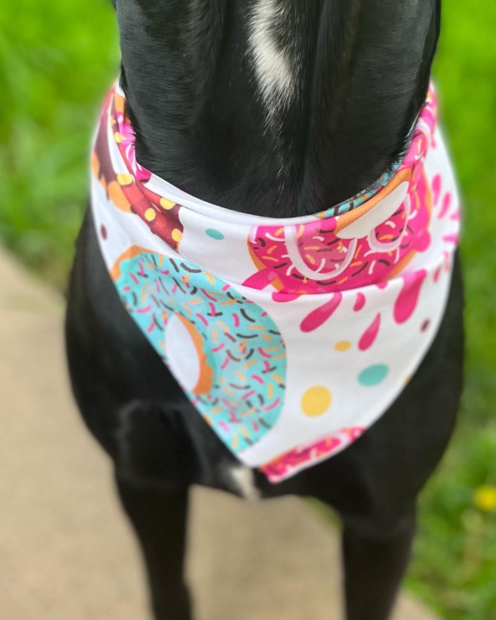 Donuts Dog Bandana