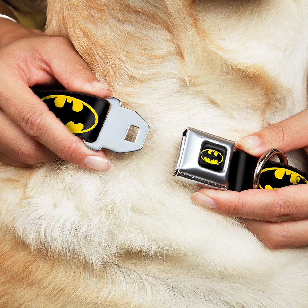 Buckle-Down Batman Black and Yellow Seatbelt Buckle Dog Collar