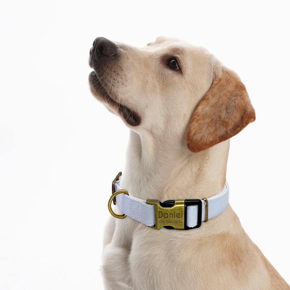 Personalized nylon collar - Pawfiestastore