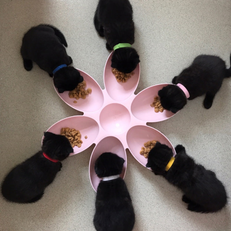 Puppy Feeder