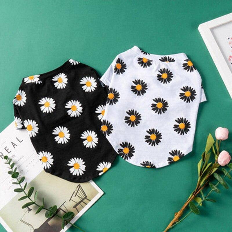 Daisies - Pawfiestastore