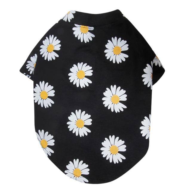 Daisies - Pawfiestastore