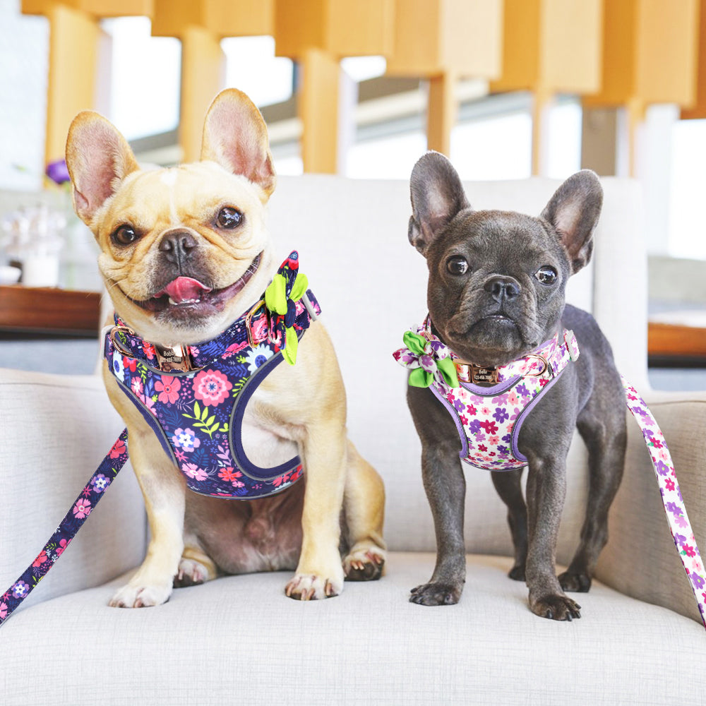 Flower Harness Set