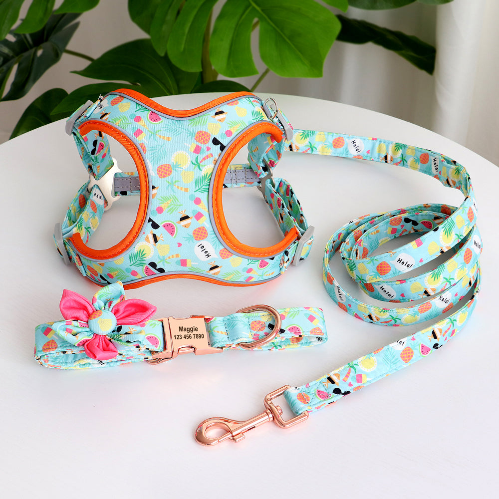 Fruit Harness Collar & Leash Set Customizable