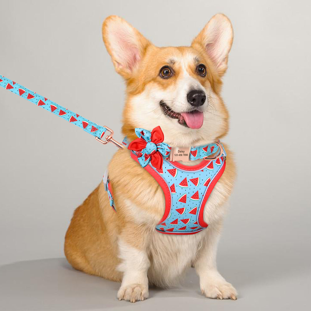 Fruit Harness Collar & Leash Set Customizable