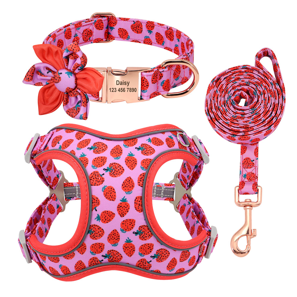 Fruit Harness Collar & Leash Set Customizable