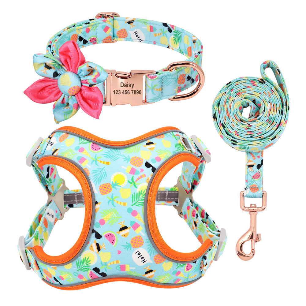 Fruit Harness Collar & Leash Set Customizable