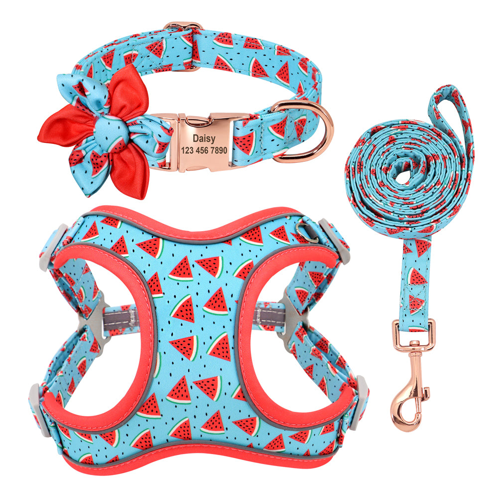 Fruit Harness Collar & Leash Set Customizable