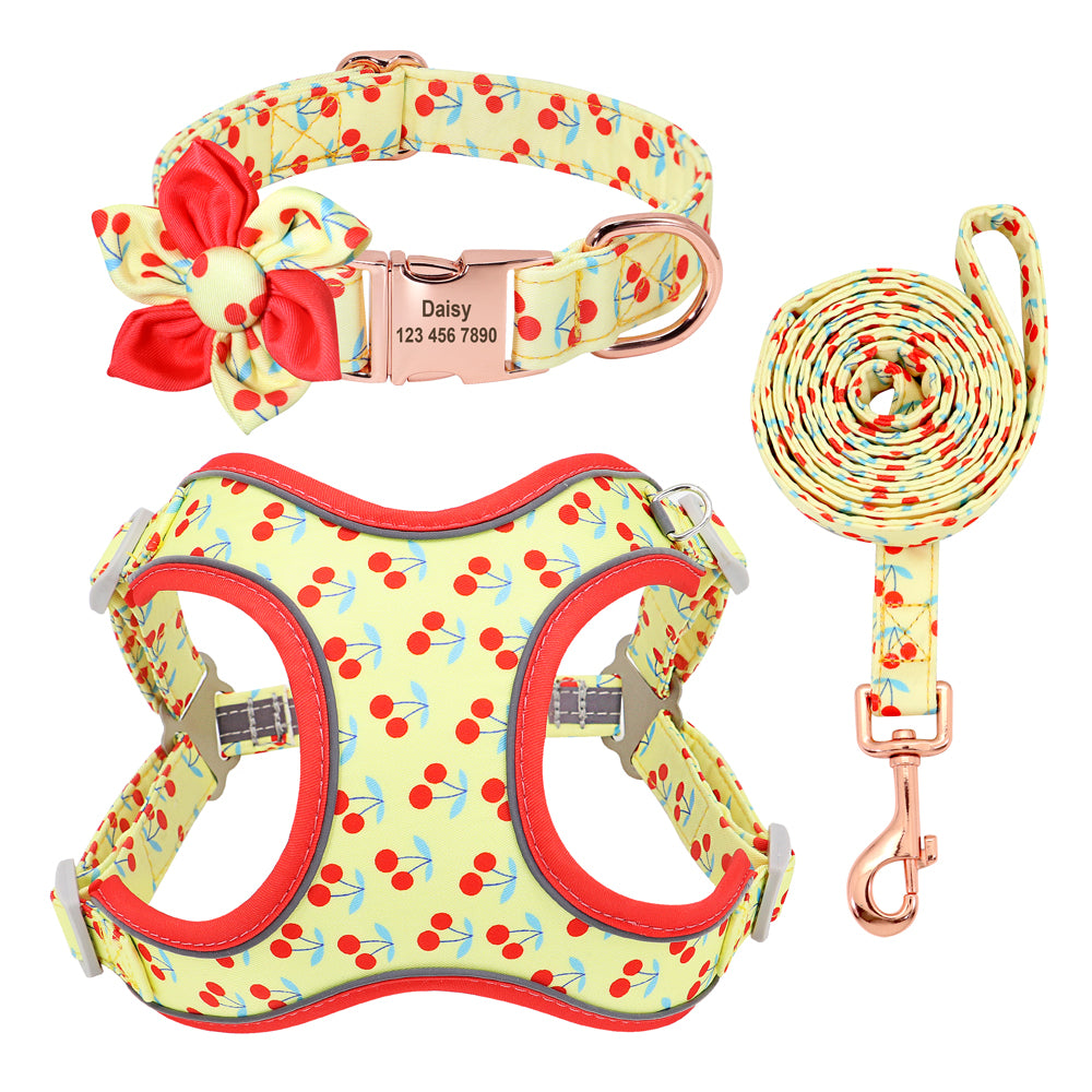 Fruit Harness Collar & Leash Set Customizable