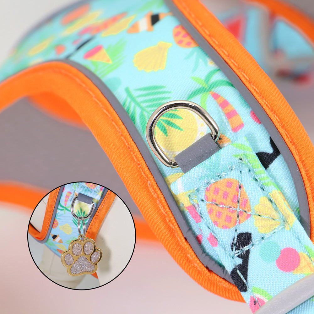 Fruit Harness Collar & Leash Set Customizable