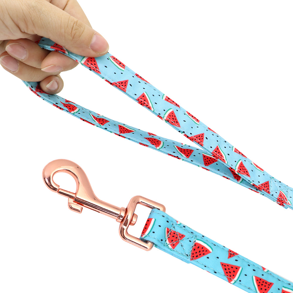 Fruit Harness Collar & Leash Set Customizable